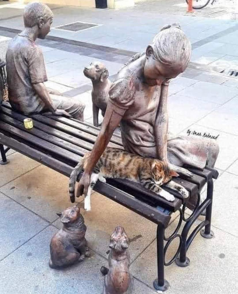 زندگی گربه کنار مجسمه